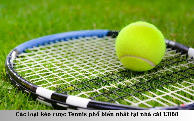 Các loại kèo cược Tennis phổ biến nhất tại nhà cái U888