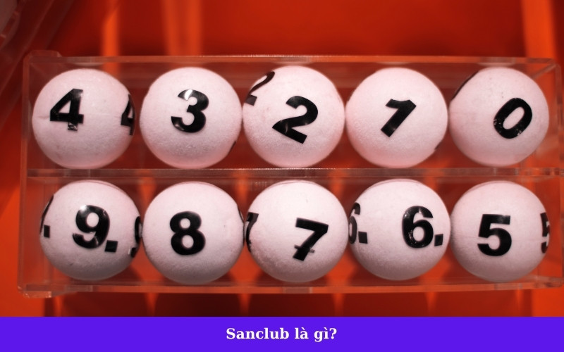 Sanclub là gì